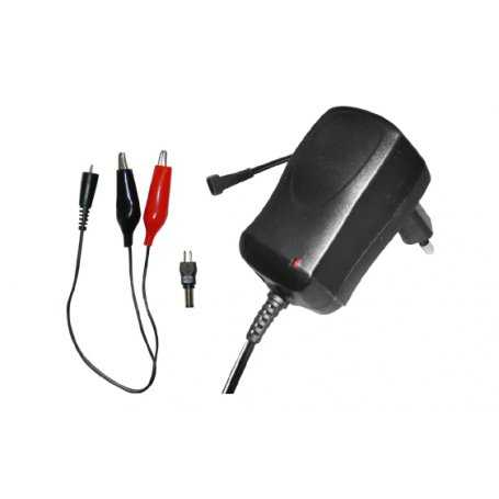 AP12C10- Caricabatterie Auto / Moto / Veicoli Alcapower - 12W / 12V / 1A